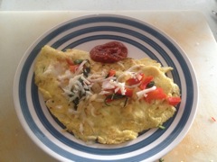 Vinegar Omelette (don't try this at home)