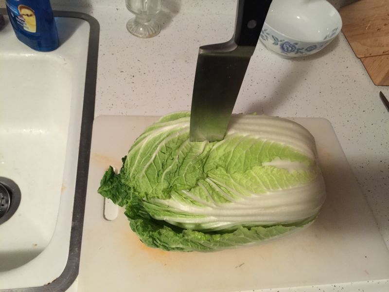 Kill the Cabbage