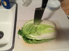 Kill the Cabbage